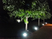 jardin de nuit